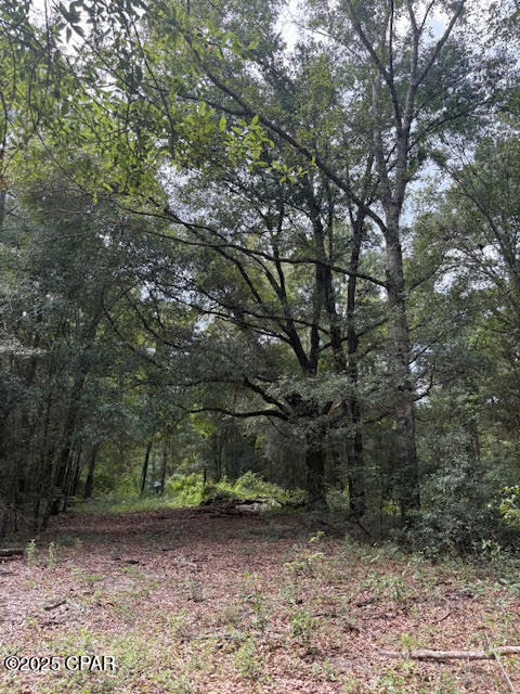 4600 Pine Grove Church Road Quincy, FL 32351 - Photo 41 of 59