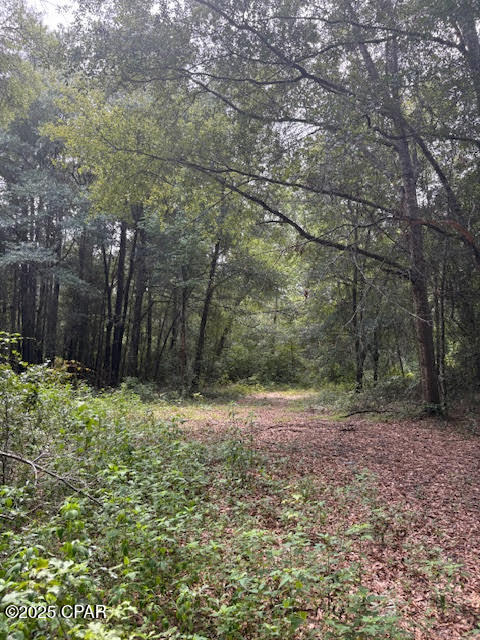 4600 Pine Grove Church Road Quincy, FL 32351 - Photo 42 of 59