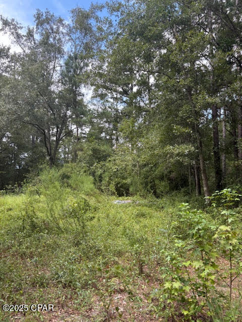 4600 Pine Grove Church Road Quincy, FL 32351 - Photo 45 of 59