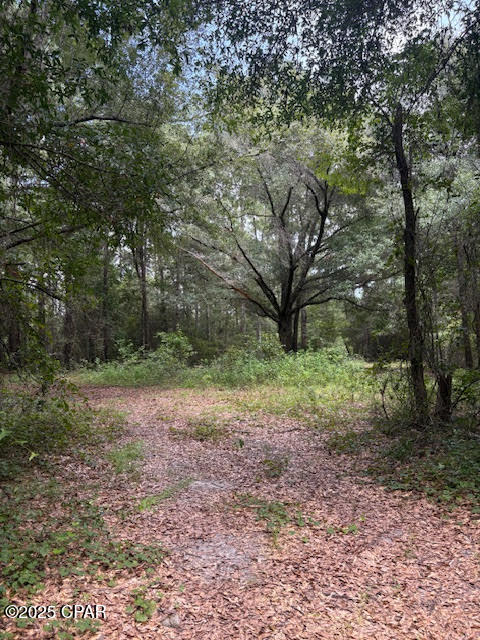 4600 Pine Grove Church Road Quincy, FL 32351 - Photo 49 of 59