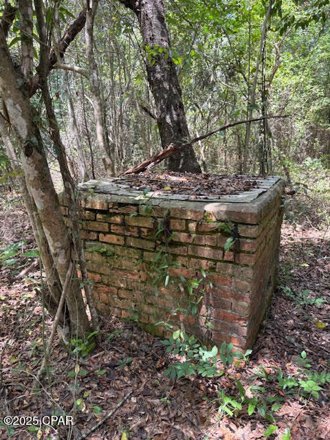 4600 Pine Grove Church Road Quincy, FL 32351 - Photo 5 of 59