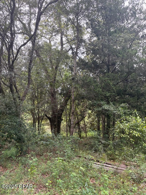 4600 Pine Grove Church Road Quincy, FL 32351 - Photo 54 of 59