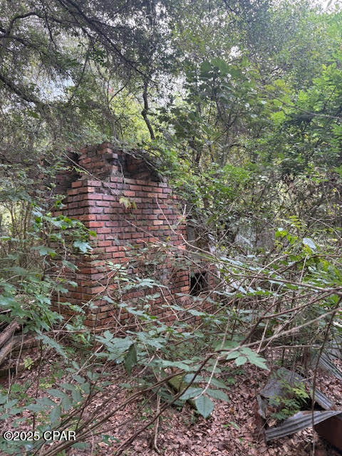 4600 Pine Grove Church Road Quincy, FL 32351 - Photo 57 of 59