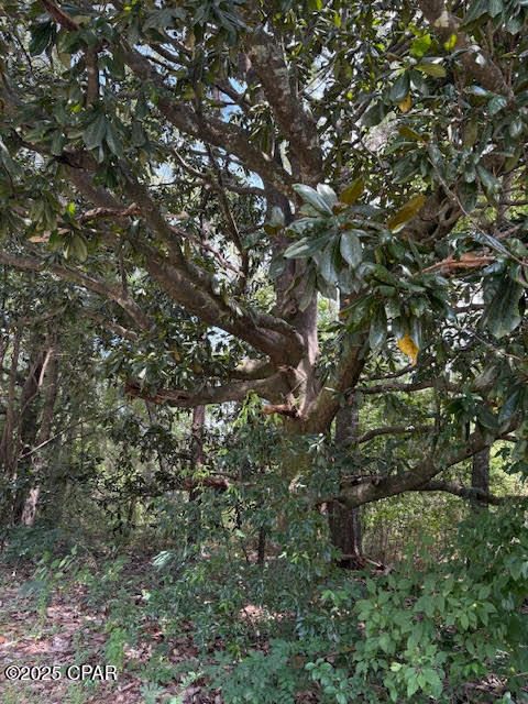 4600 Pine Grove Church Road Quincy, FL 32351 - Photo 10 of 59