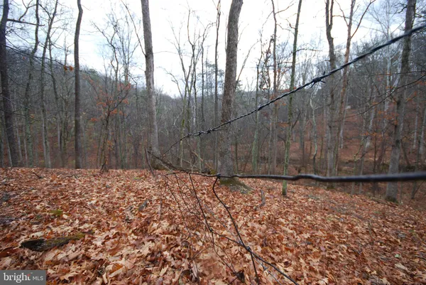 a backyard of a building