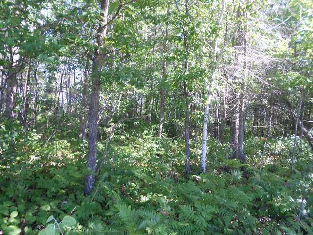 On West Dyer Farm Road Eagle River, WI 54521 - Photo 3 of 5 Gallery Image 3