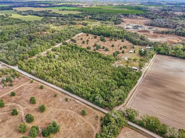 a view of a garden with an outdoor space