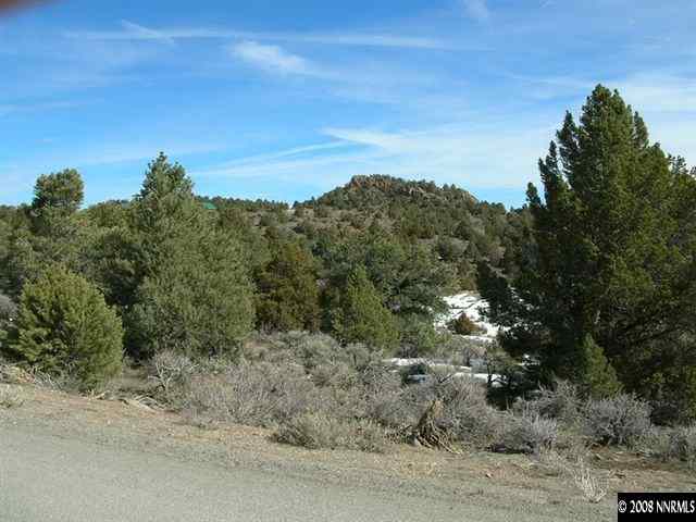 1741 Lousetown Road Reno, NV 89521 - Photo 1 of 7 a view of a dry yard with trees in the background