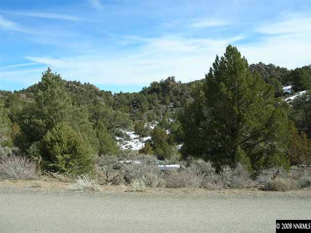 1741 Lousetown Road Reno, NV 89521 - Photo 3 of 7 a view of a dry yard with trees