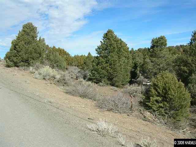 1741 Lousetown Road Reno, NV 89521 - Photo 4 of 7 a view of a dry yard with trees in the background