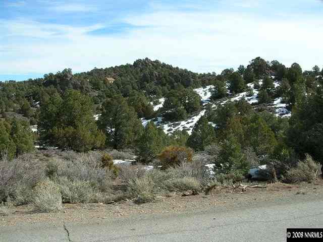 1741 Lousetown Road Reno, NV 89521 - Photo 5 of 7 an aerial view of mountain with trees