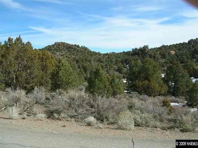1741 Lousetown Road Reno, NV 89521 - Photo 6 of 7 a view of a mountain