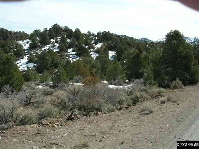 1741 Lousetown Road Reno, NV 89521 - Photo 7 of 7 a view of a forest with a tree in the background