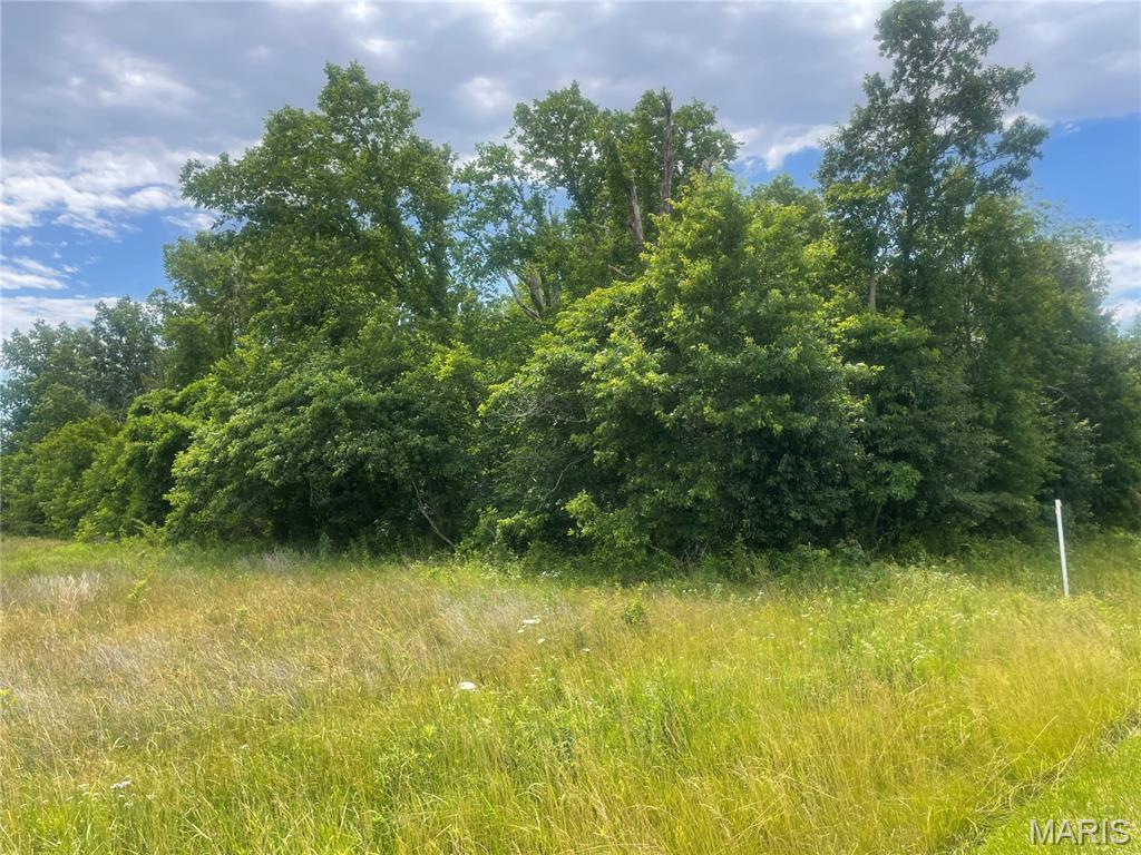Xxx Louse Creek Road Patoka, IL 62875 - Photo 4 of 7