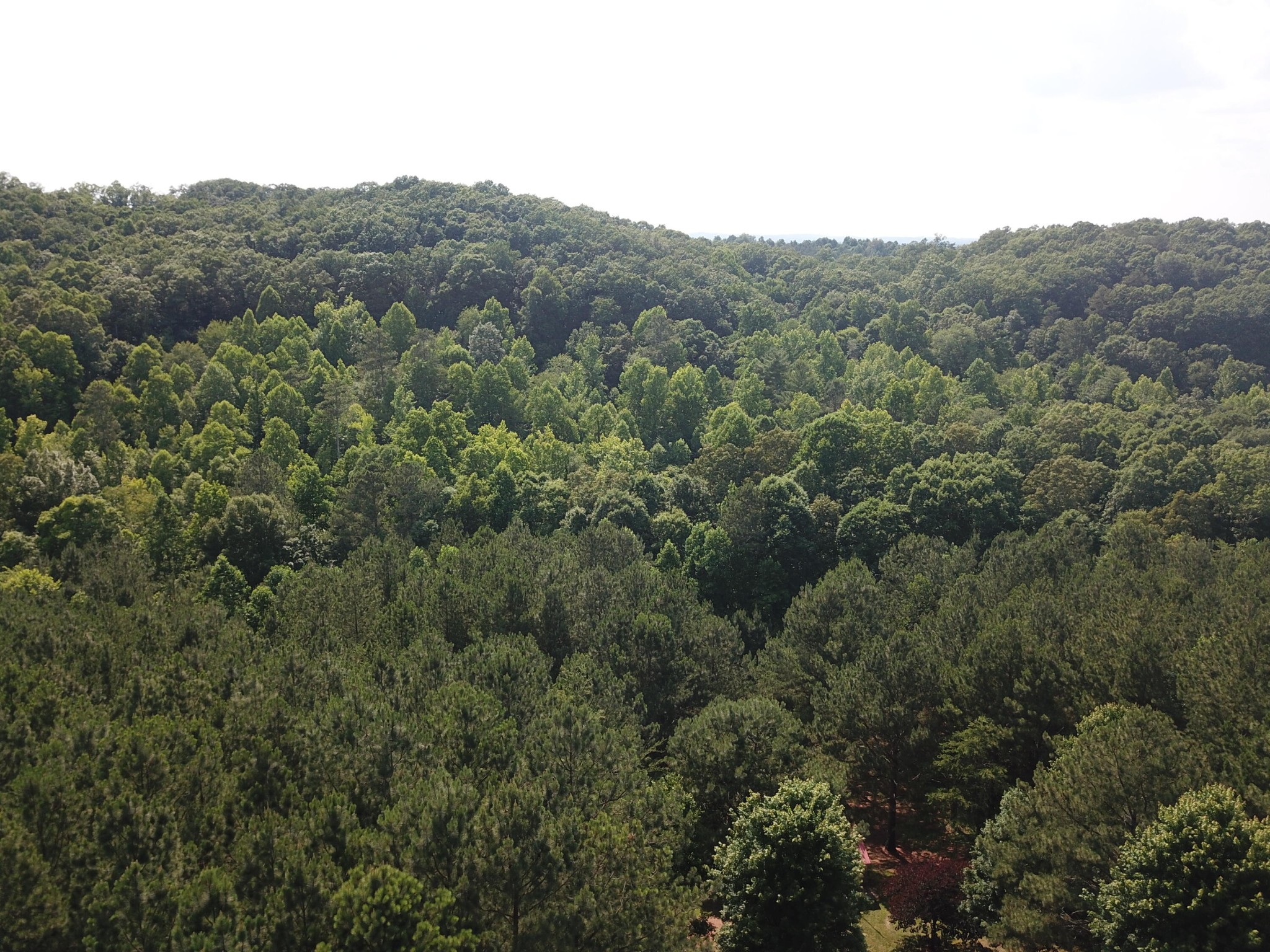 1415 Sloans Gap Road Ocoee, TN 37361 - Photo 3 of 14 Gallery Image 3