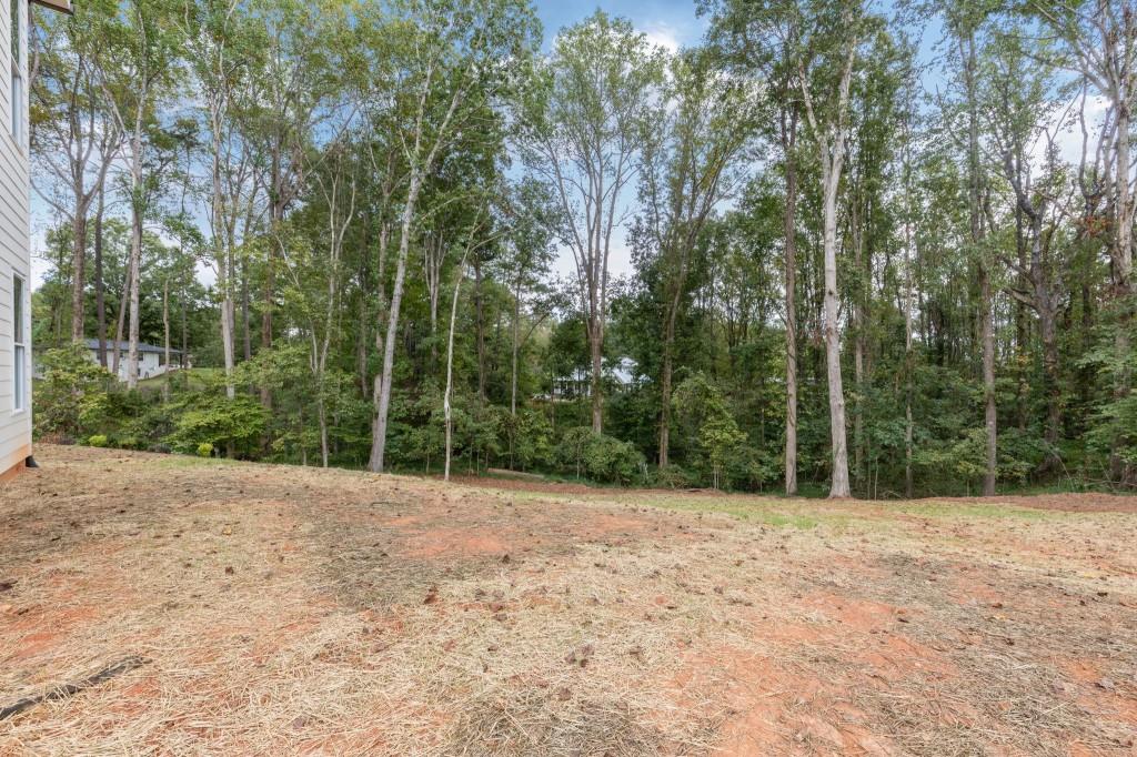 2001 Epperson Road Canton, GA 30115 - Photo 53 of 76