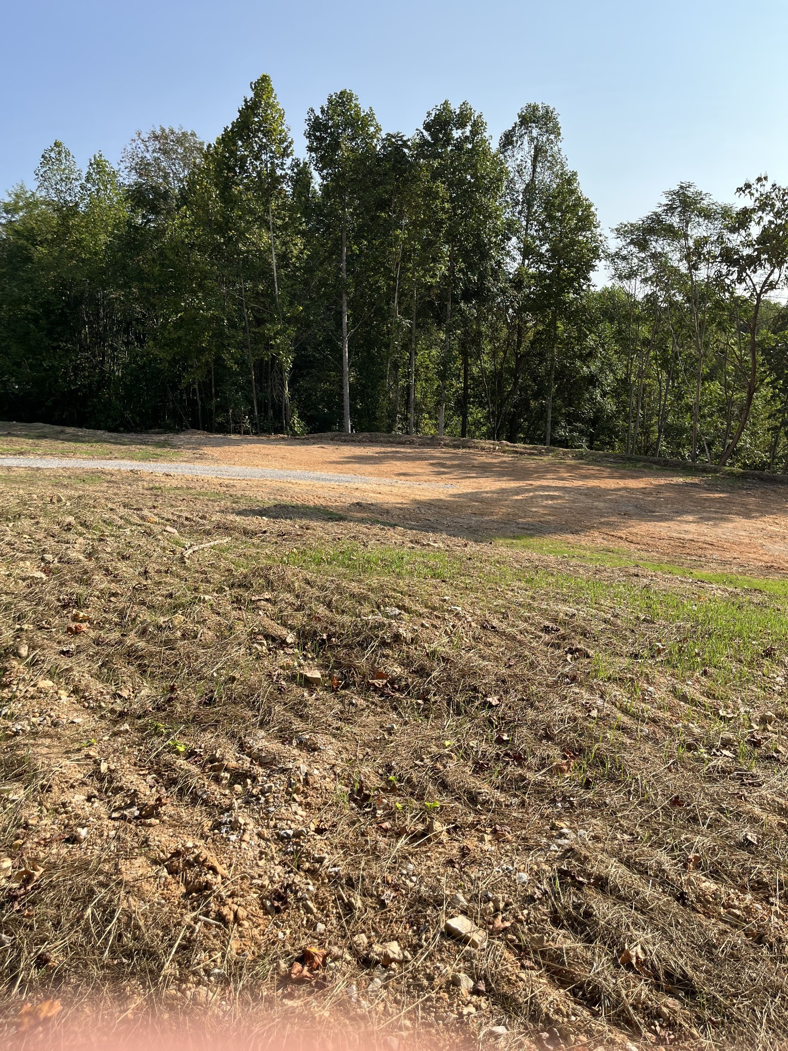 0 Hwy 56 Silver Point Silver Point, TN 38582 - Photo 6 of 14