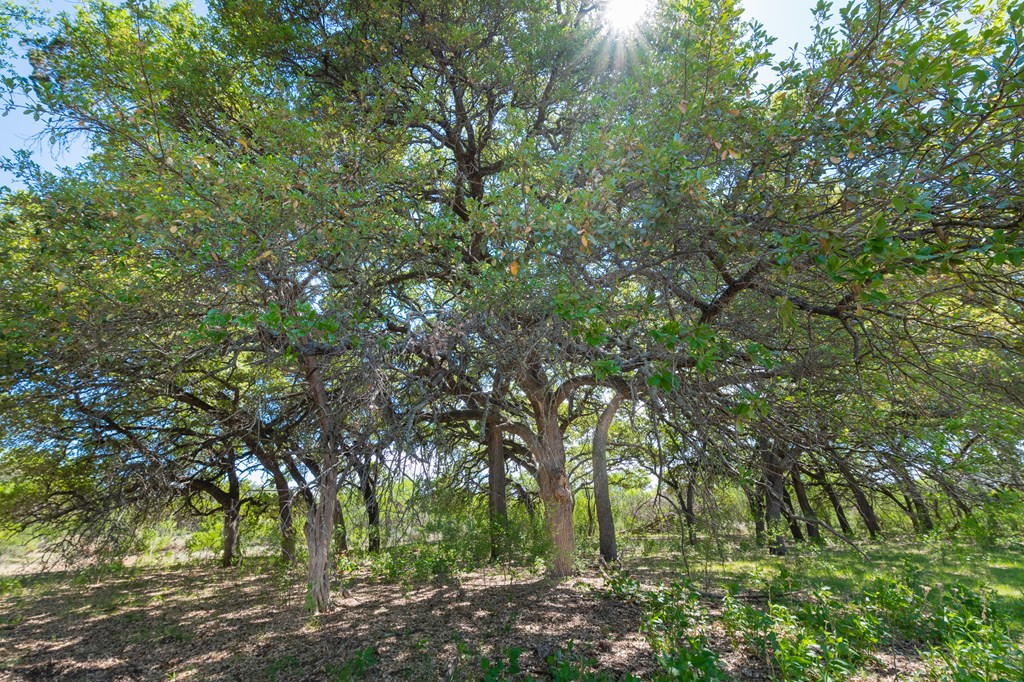 9 Ranch Road 385, Unit 9 London, TX 76854 - Photo 11 of 21 a backyard of a house with lots of swings and slides