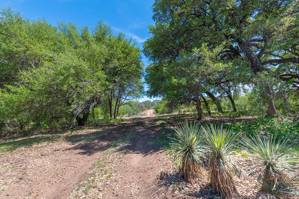 9 Ranch Road 385, Unit 9 London, TX 76854 - Photo 12 of 21 a view of swimming pool with a patio