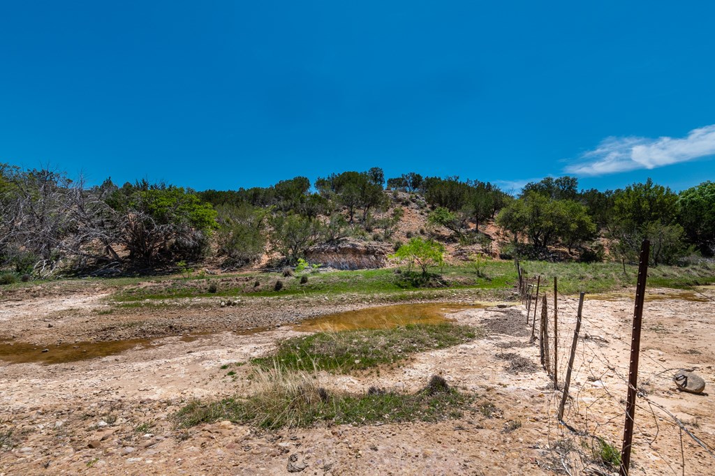9 Ranch Road 385, Unit 9 London, TX 76854 - Photo 17 of 21 a view of a yard with a tree