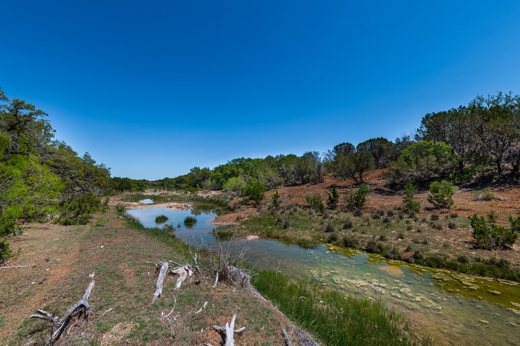 9 Ranch Road 385, Unit 9 London, TX 76854 - Photo 18 of 21 a view of a forest with trees in the background
