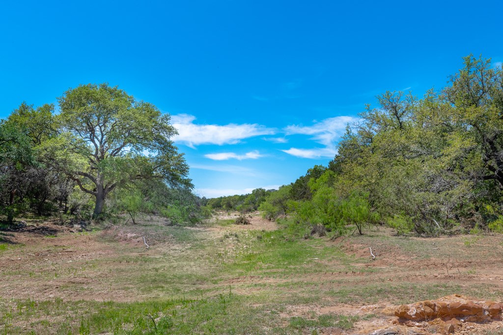 9 Ranch Road 385, Unit 9 London, TX 76854 - Photo 5 of 21 a view of a field with trees in the background