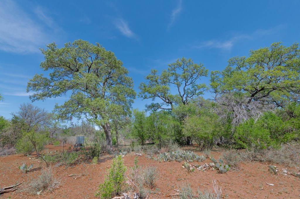 9 Ranch Road 385, Unit 9 London, TX 76854 - Photo 7 of 21 a backyard of a house with lots of green space