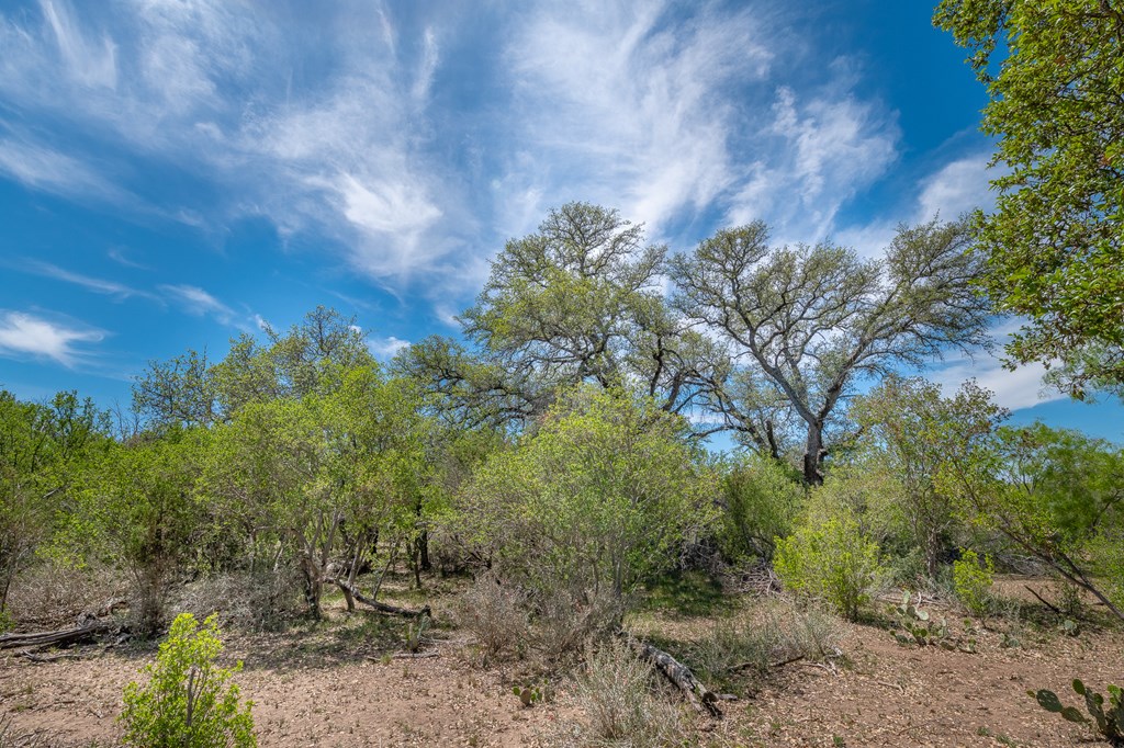 9 Ranch Road 385, Unit 9 London, TX 76854 - Photo 8 of 21 a view of a yard with a tree