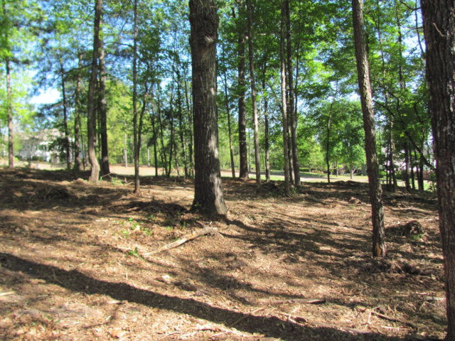 201 Lady Banks Road Aiken, SC 29803 - Photo 1 of 6