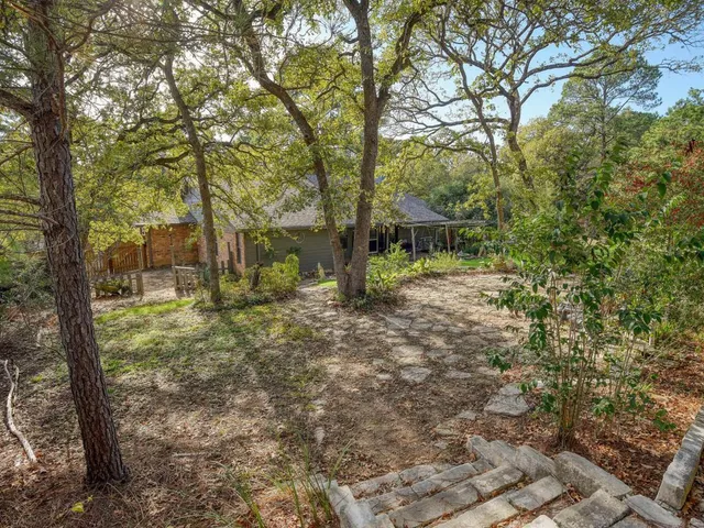 a view of a big yard with potted plants and large tree