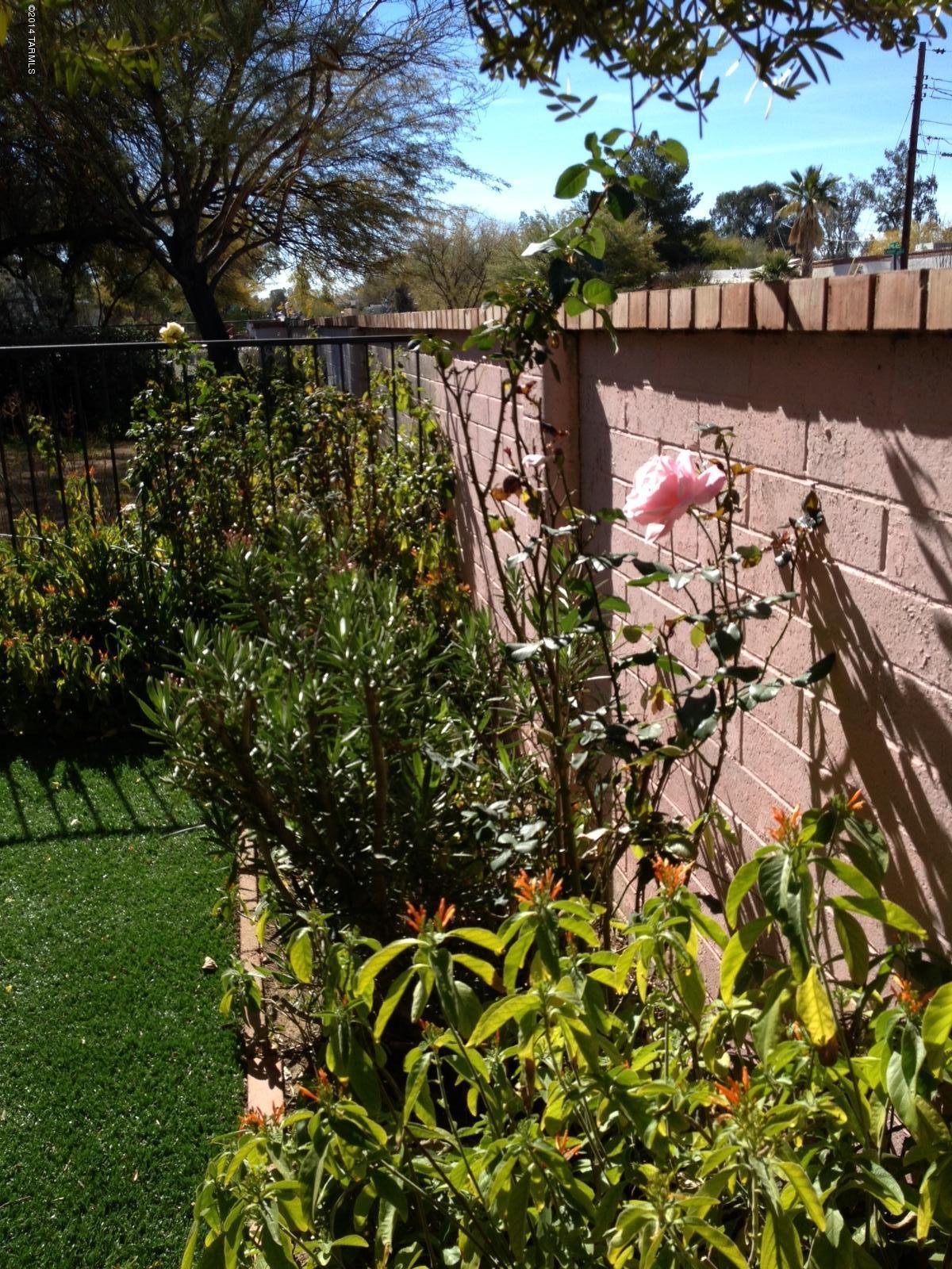 2802 East Copper Street Tucson, AZ 85716 - Photo 3 of 13