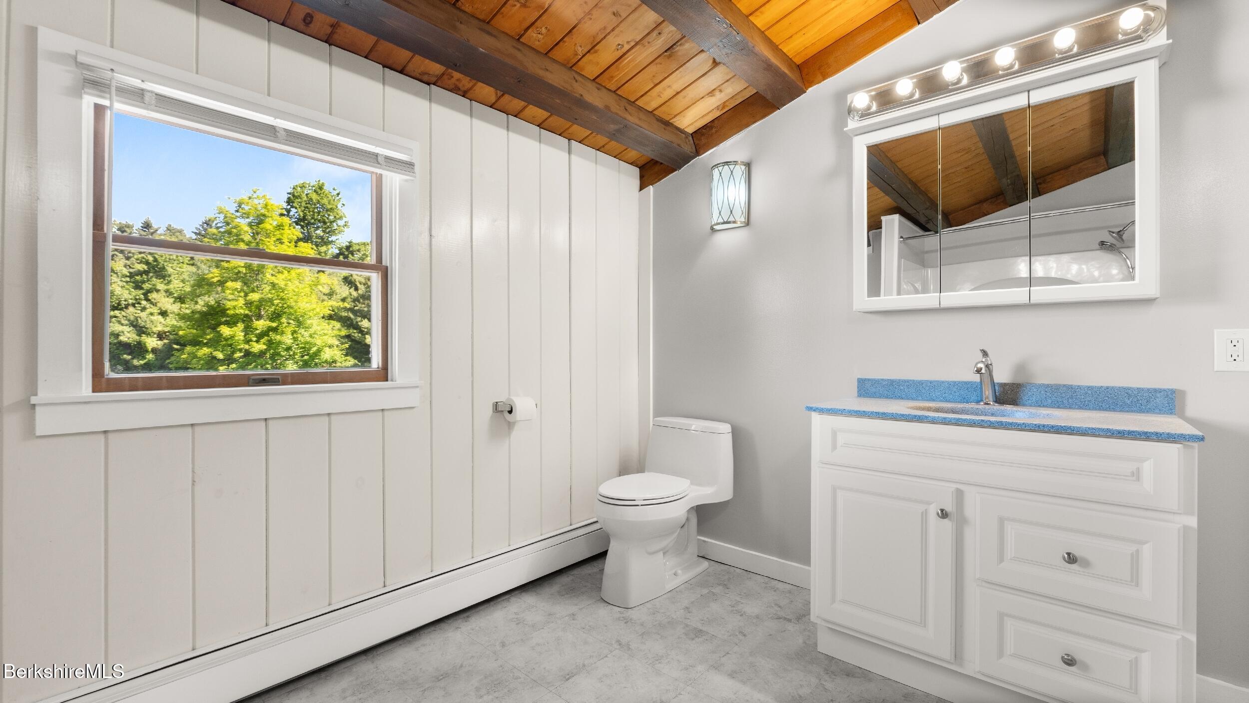 134 Hurlburt Road Great Barrington, MA 01230 - Photo 39 of 50 a bathroom with a toilet a sink and mirror