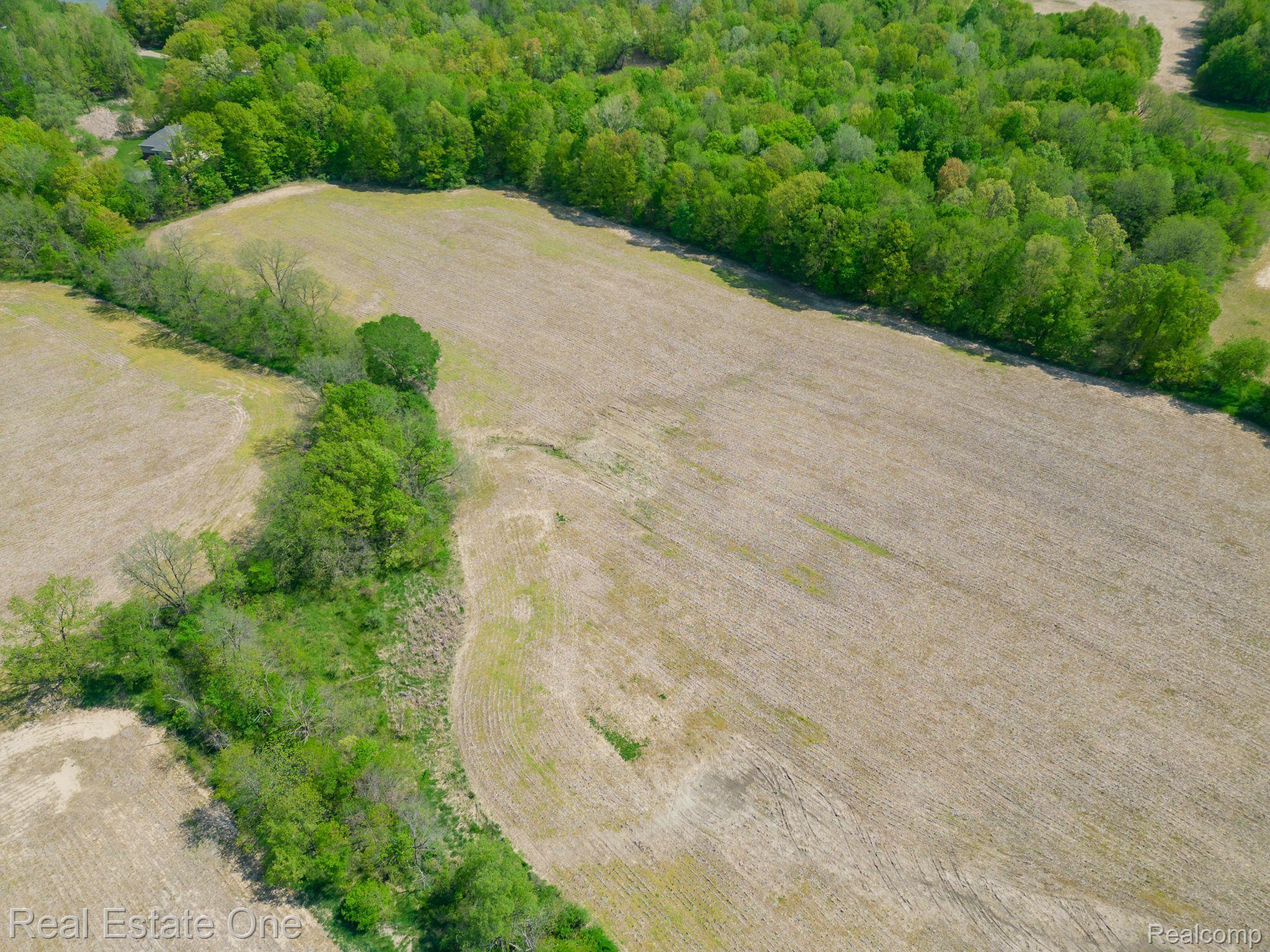 4190 Pratt Road Metamora, MI 48455 - Photo 7 of 53 Northeast Corner of the Parcel