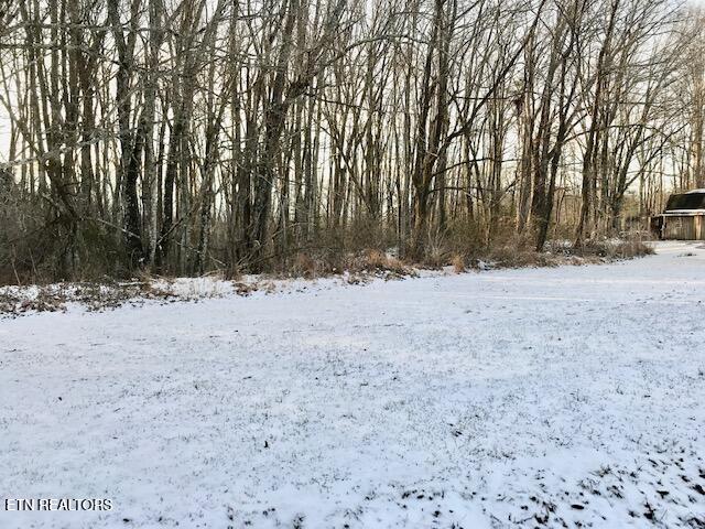 69-145.00 Letner Road Helenwood, TN 37755 - Photo 2 of 15 IMG_8043