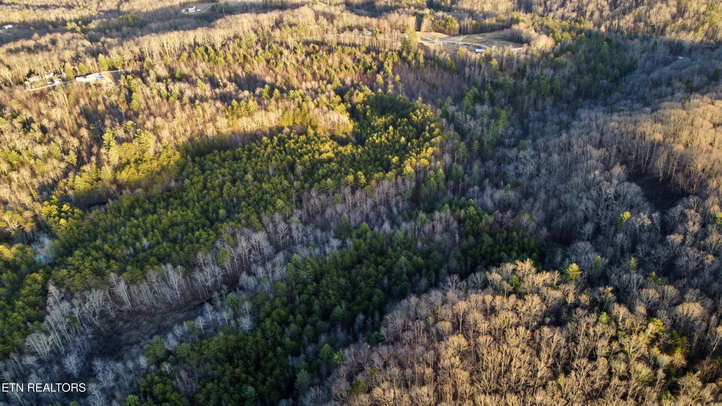 69-145.00 Letner Road Helenwood, TN 37755 - Photo 10 of 15 Photo Feb 26 2025, 6 03 14 PM