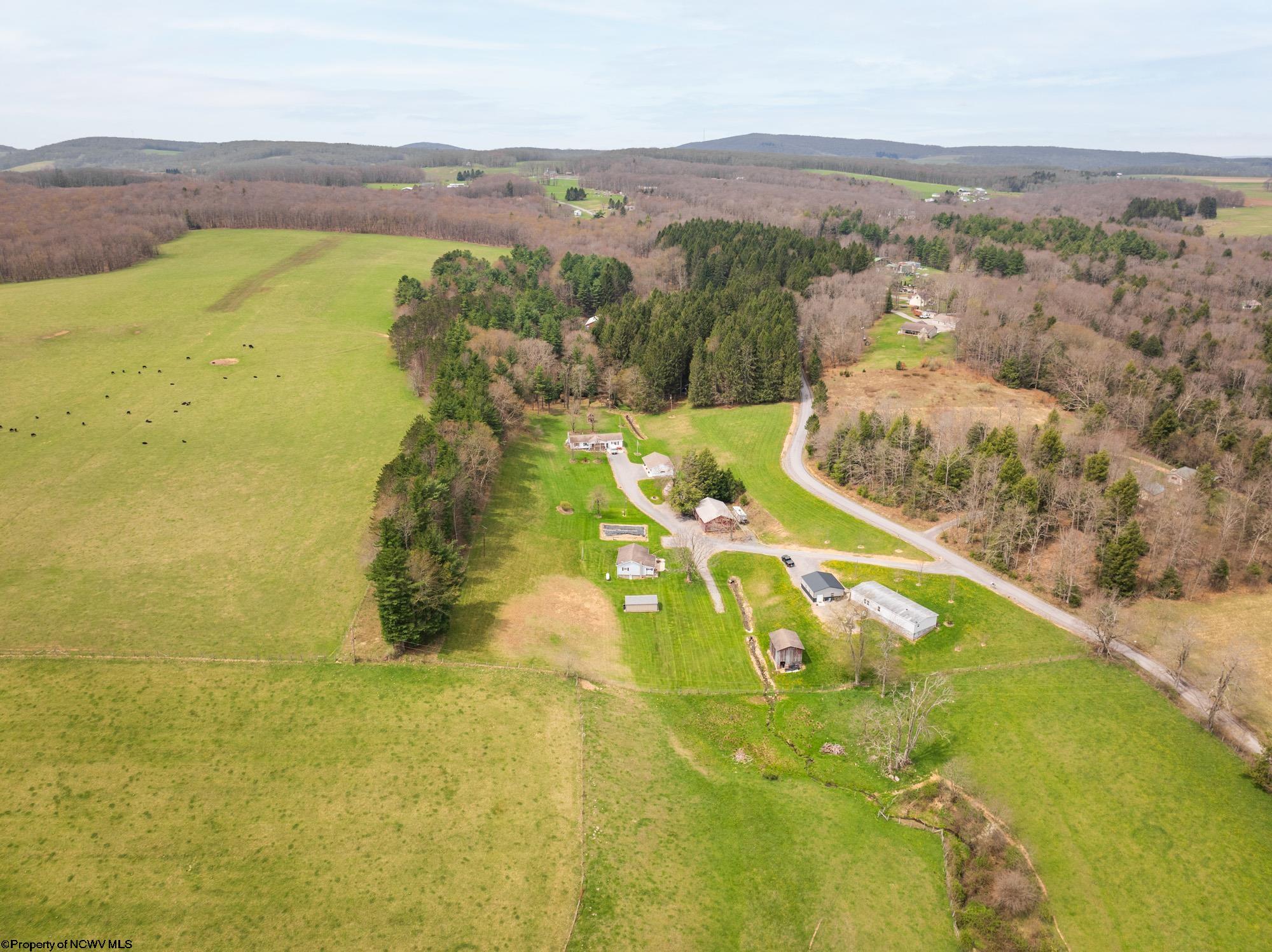 952 Burnside Camp Road Terra Alta, WV 26764 - Photo 16 of 38 Gallery Image 16