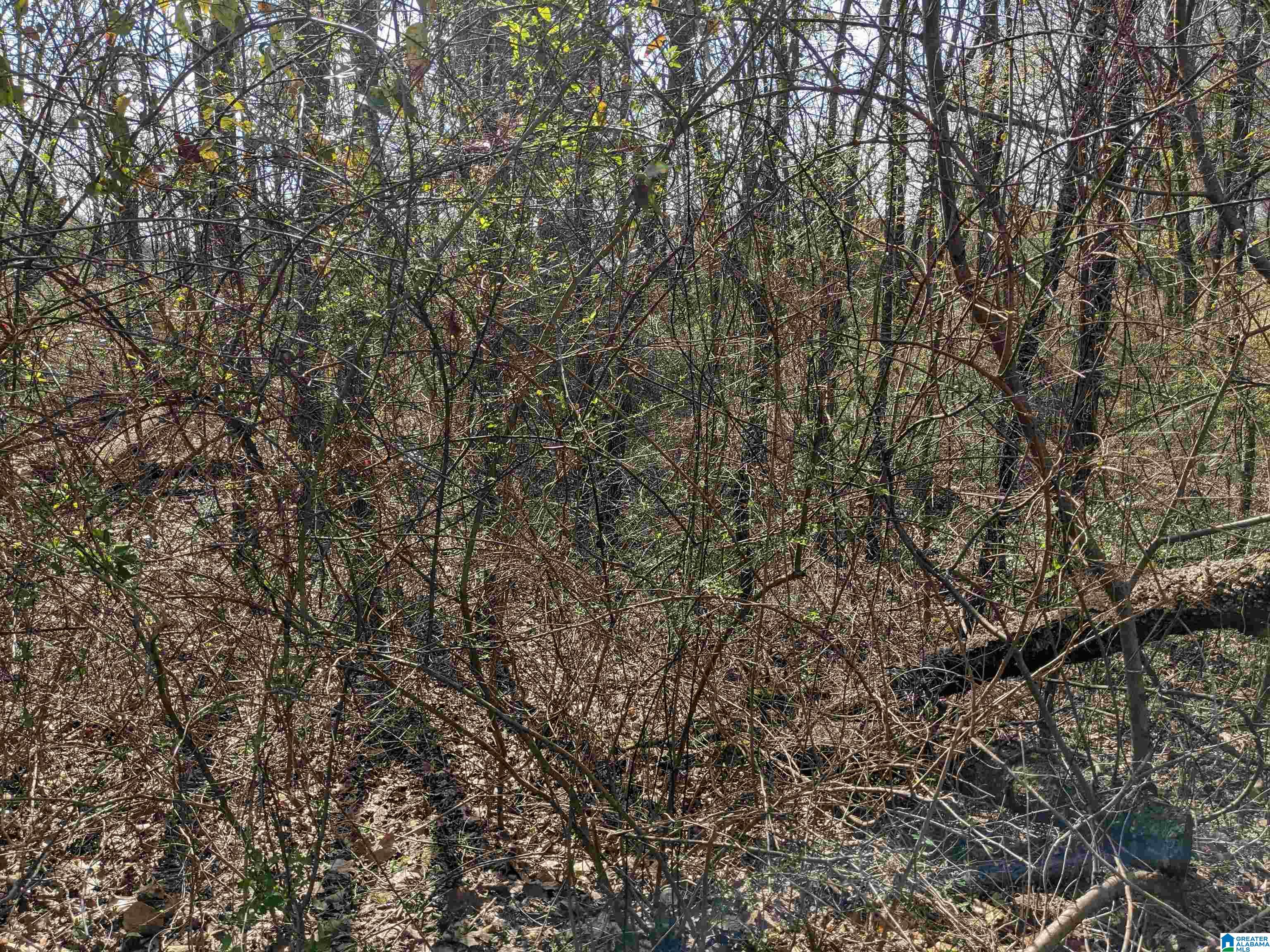 0 Hathaway Heights Road, Unit 2 & 3 Anniston, AL 36207 - Photo 23 of 30