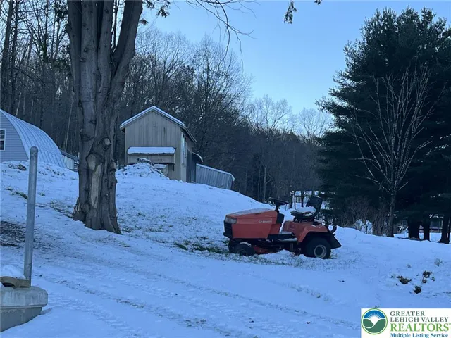 a view of a backyard with a large tree