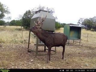 0 Other Junction Junction, TX 76849 - Photo 14 of 17