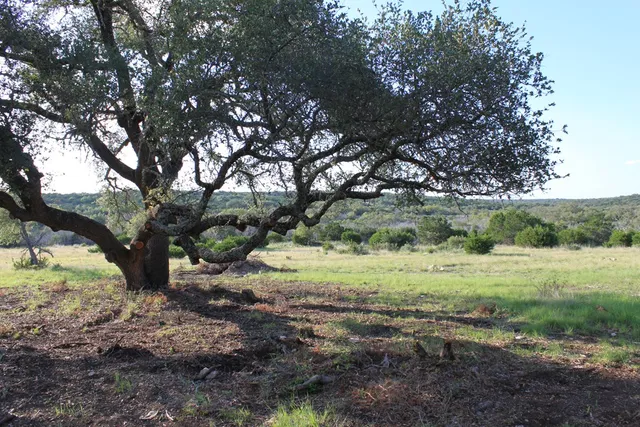 $535,000 | 0 Other Junction, Junction, TX 76849