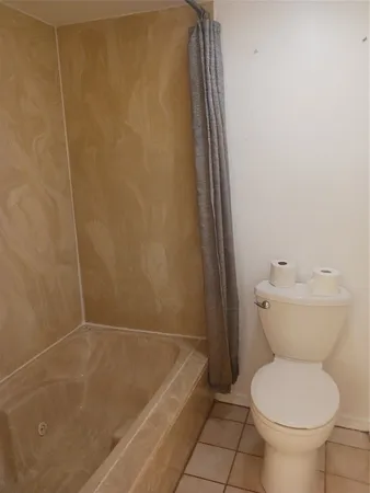 a bathroom with a toilet and a bathtub