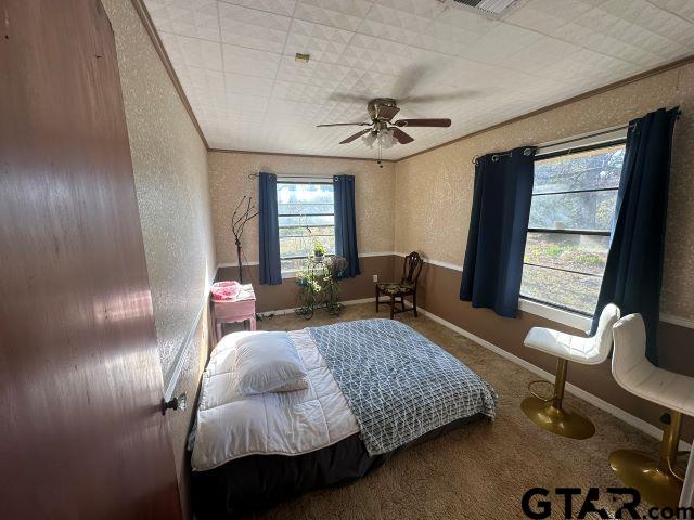 729 Rose Hill Road Timpson, TX 75975 - Photo 8 of 14 a bedroom with furniture and a window
