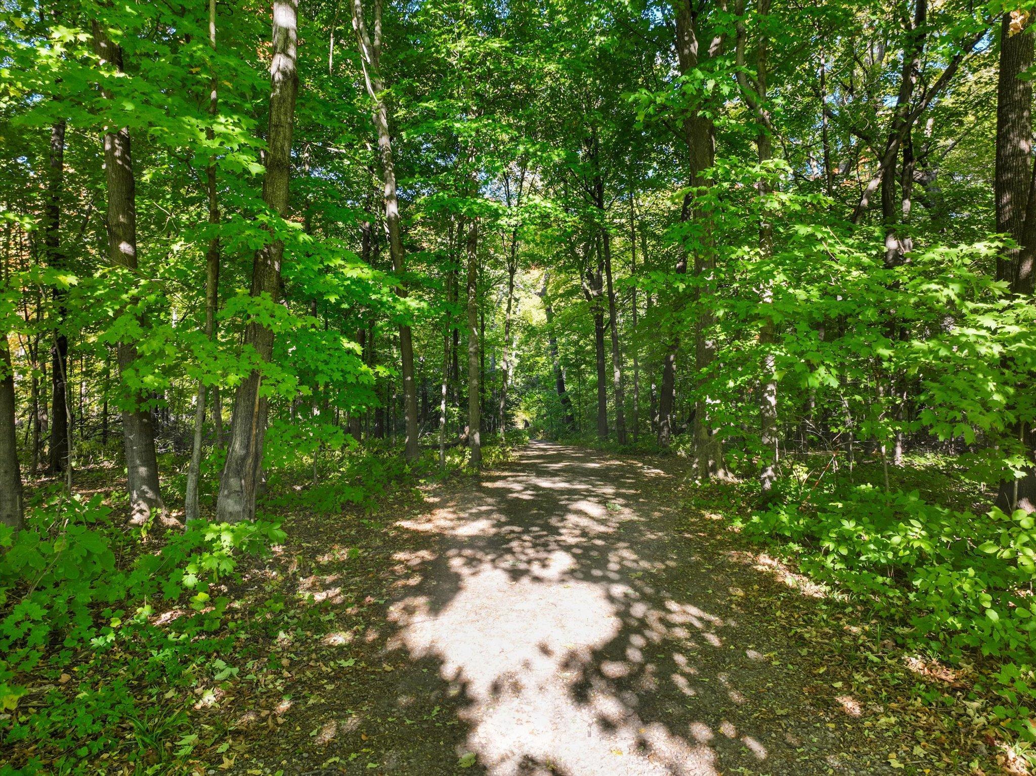 12842 Lawrence Way Rogers, MN 55374 - Photo 21 of 23
