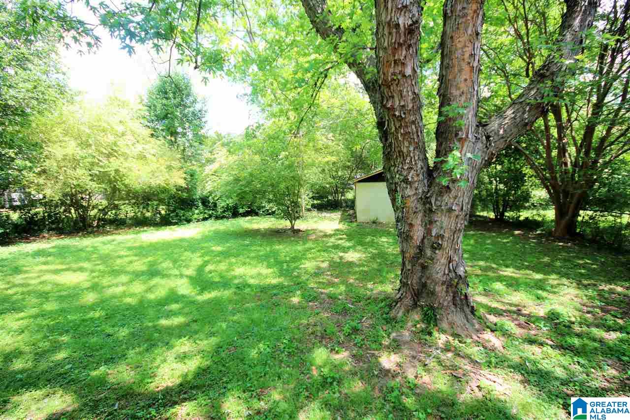 1941 4th Street Northeast Center Point, AL 35215 - Photo 21 of 22