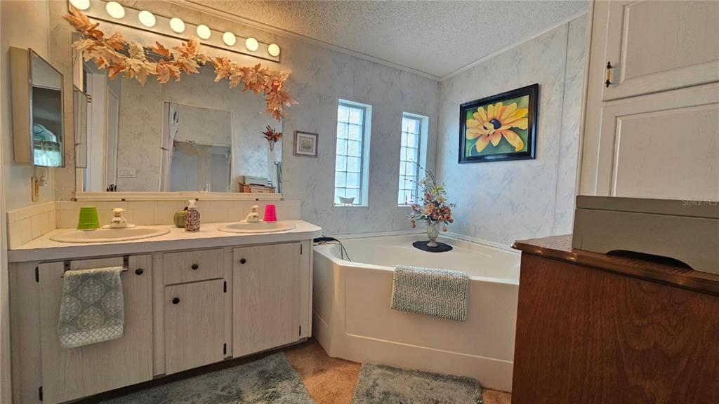 8210 Bull Run Drive New Port Richey, FL 34653 - Photo 19 of 30 a bathroom with a double vanity sink and a mirror