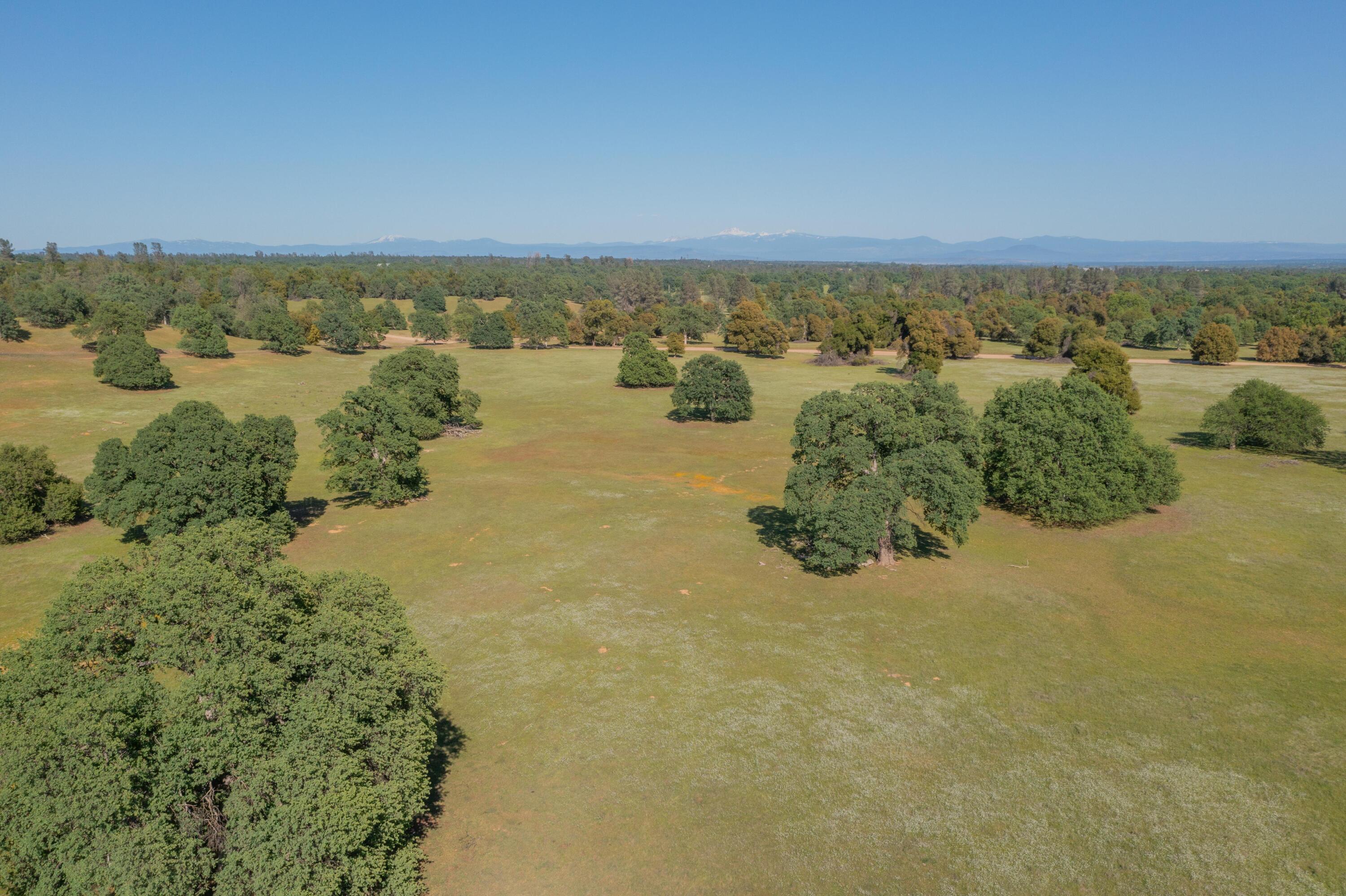 15764 Gas Point Rd (21 of 76)