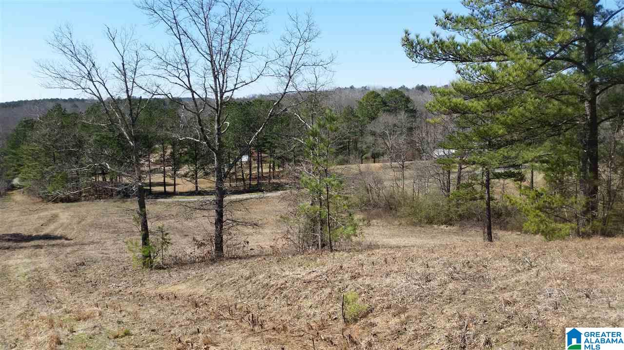 3425 George Key Road Warrior, AL 35180 - Photo 4 of 6