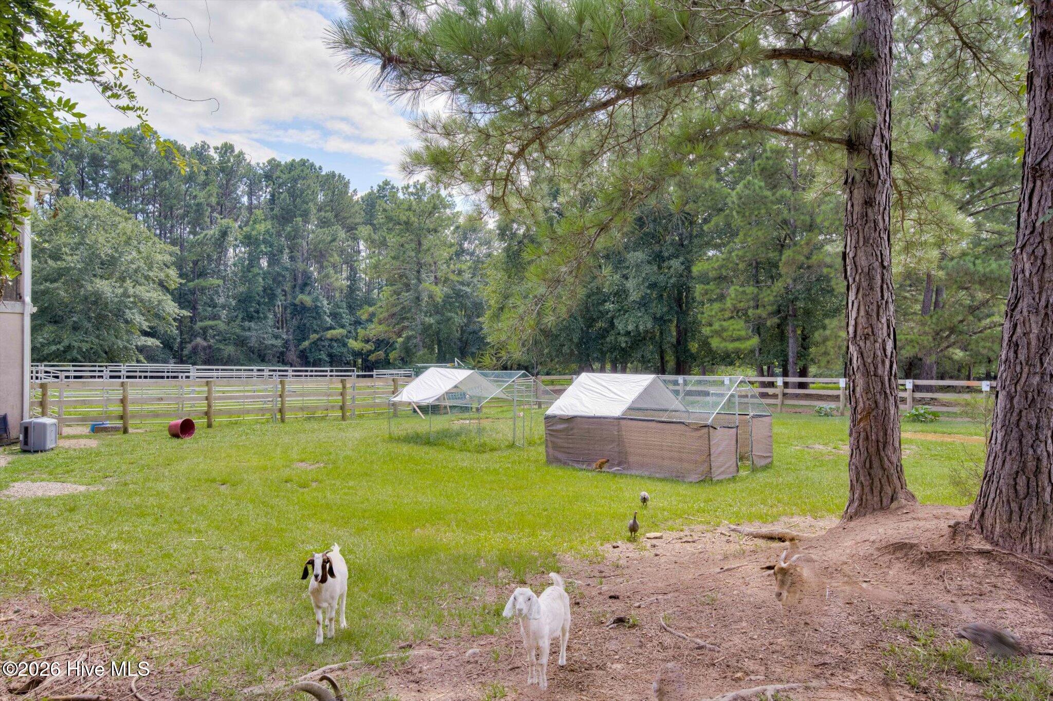 4579 Ridgecrest Drive Thomson, GA 30824 - Photo 10 of 53