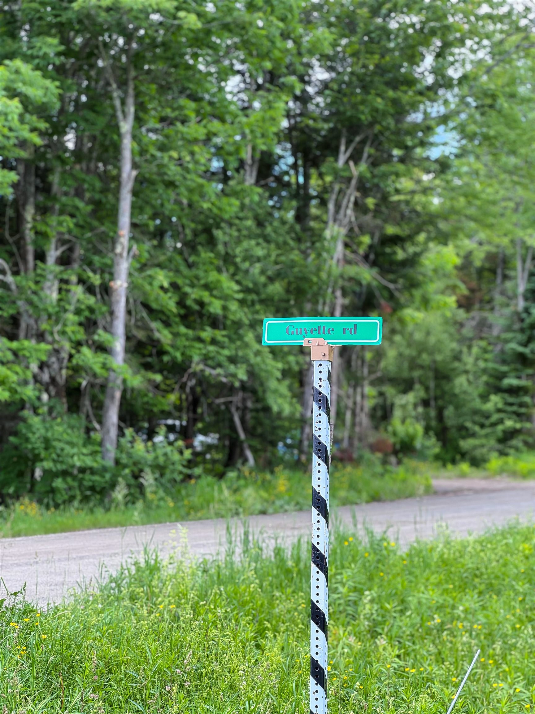 273 Guyette Road Lowell, VT 05847 - Photo 3 of 9
