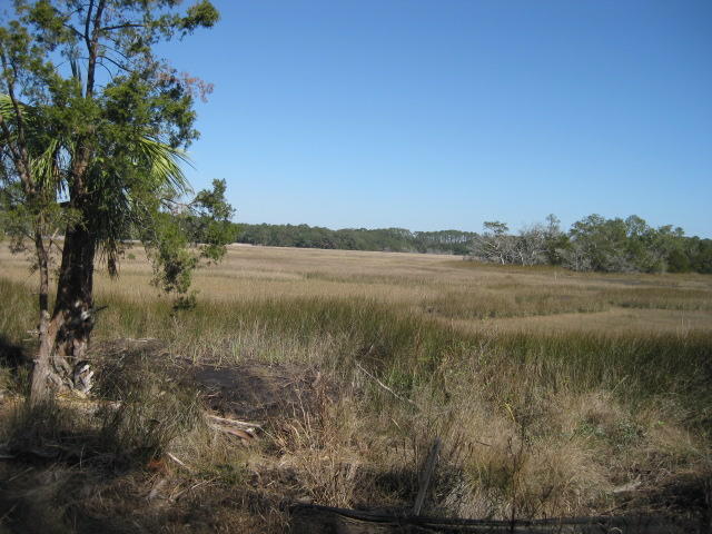 7E Chisolm Plantation (9)